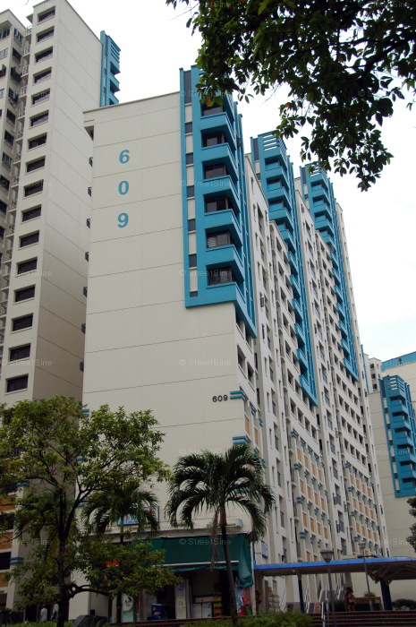 Blk 609 Bukit Panjang Ring Road (Bukit Panjang), HDB 4 Rooms #217422